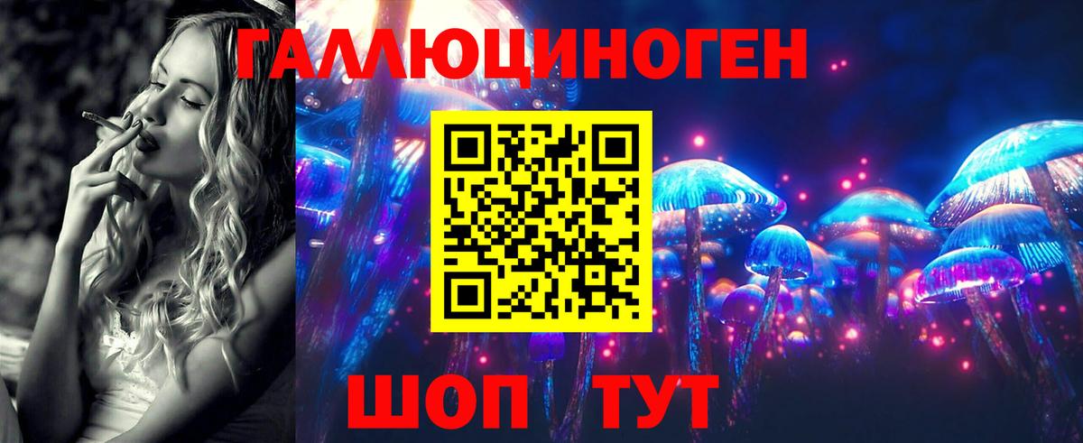 Псилоцибиновые грибы Psilocybine cubensis Нижнекамск